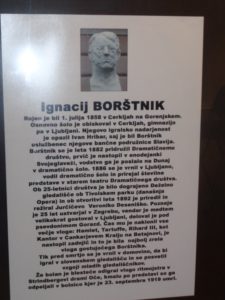 Borstnik1